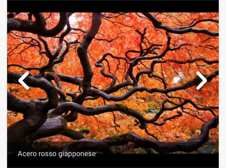 Nomi tableau e segnatavoli - 5