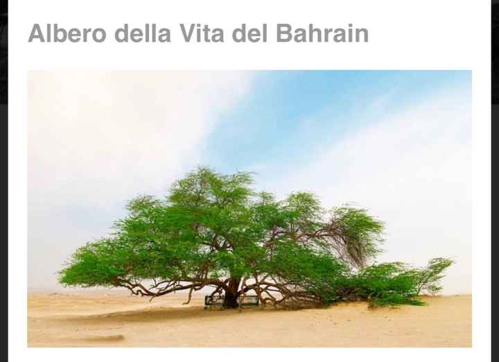 Nomi tableau e segnatavoli - 8