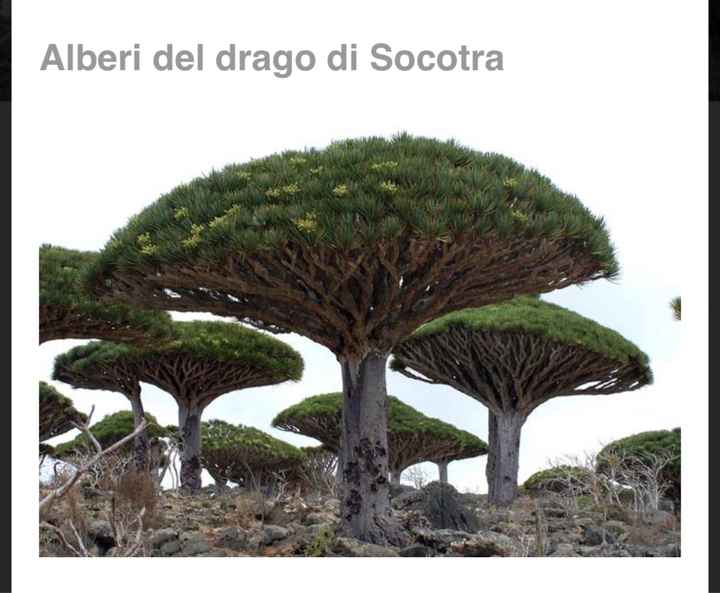 Nomi tableau e segnatavoli - 13