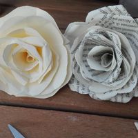 rose di carta