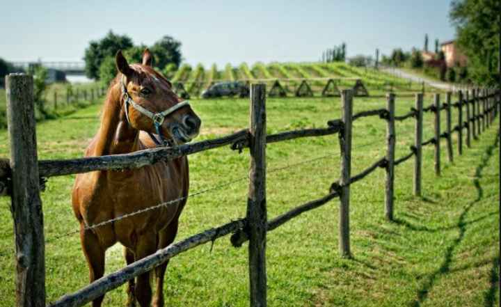 Belle sposine a che punto siete col vostro matrimonio?  - 4