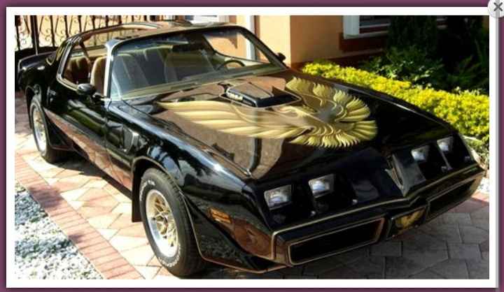 Cercasi una mustang a noleggio! pistoia e provincia!  - 1