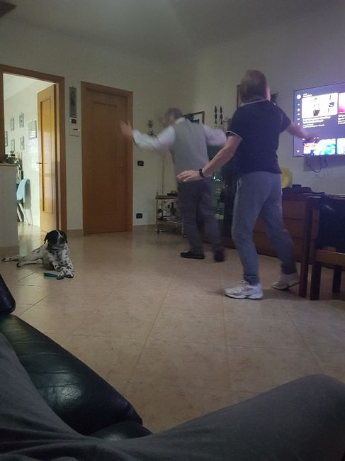 Amici a quattro zampe - 3