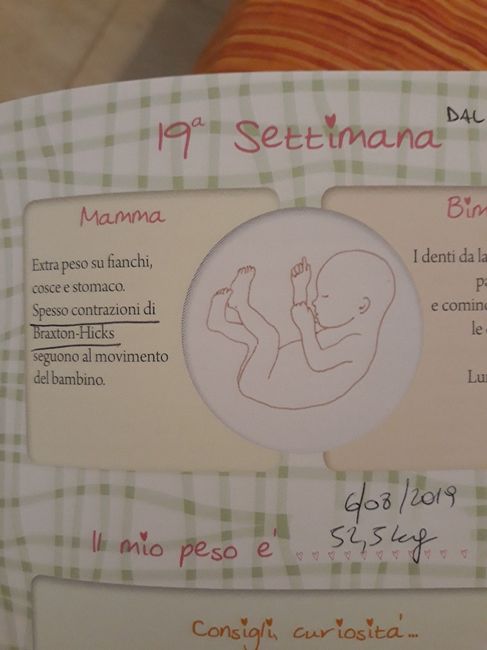 Contrazioni di Bracton-hicks 2