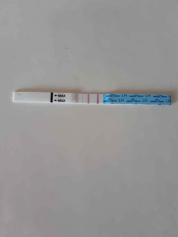 Test ovulazione..help! - 1