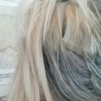 Breve storia triste... Ho fatto le extension e... - 2