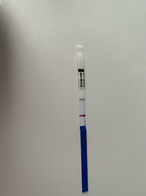 Chi non le aspetta per luglio 2020 🍀🐞🤞🌈🌻 - 1