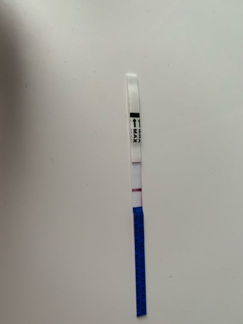 Chi non le aspetta per Novembre  2020 🍀❤️🍀❤️🍀❤️🍀❤️🍀❤️🍀❤️🍀 - 1