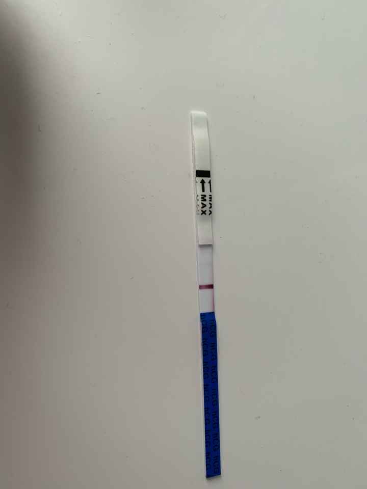 Chi non le aspetta per Novembre  2020 🍀❤️🍀❤️🍀❤️🍀❤️🍀❤️🍀❤️🍀 - 1