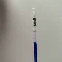 Chi non le aspetta per Novembre  2020 🍀❤️🍀❤️🍀❤️🍀❤️🍀❤️🍀❤️🍀 - 1