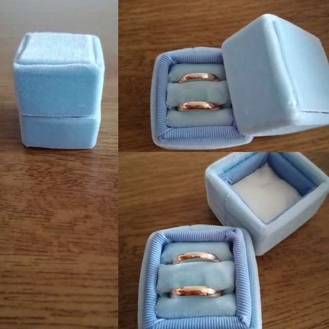 Idee portafedi cercasi - 1
