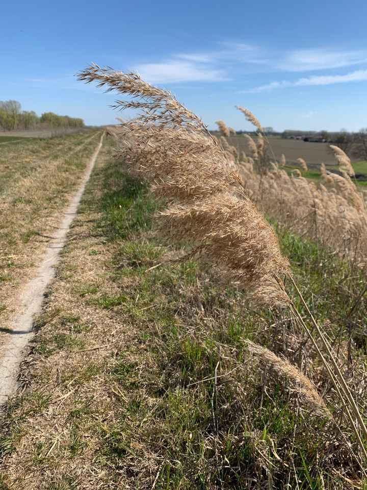Regine del fai da te a me!! - 1
