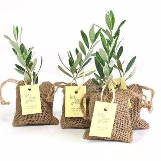 matrimonio in puglia