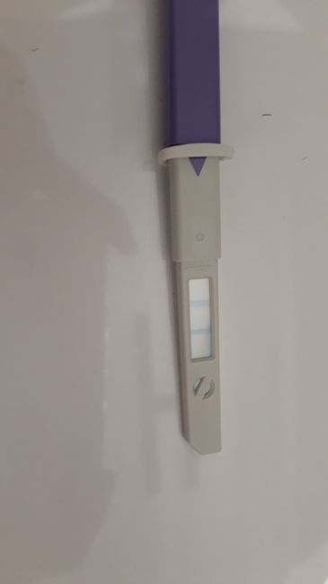 Chi non le aspetta per Giugno 2021 🌸🌸🌸 - 1