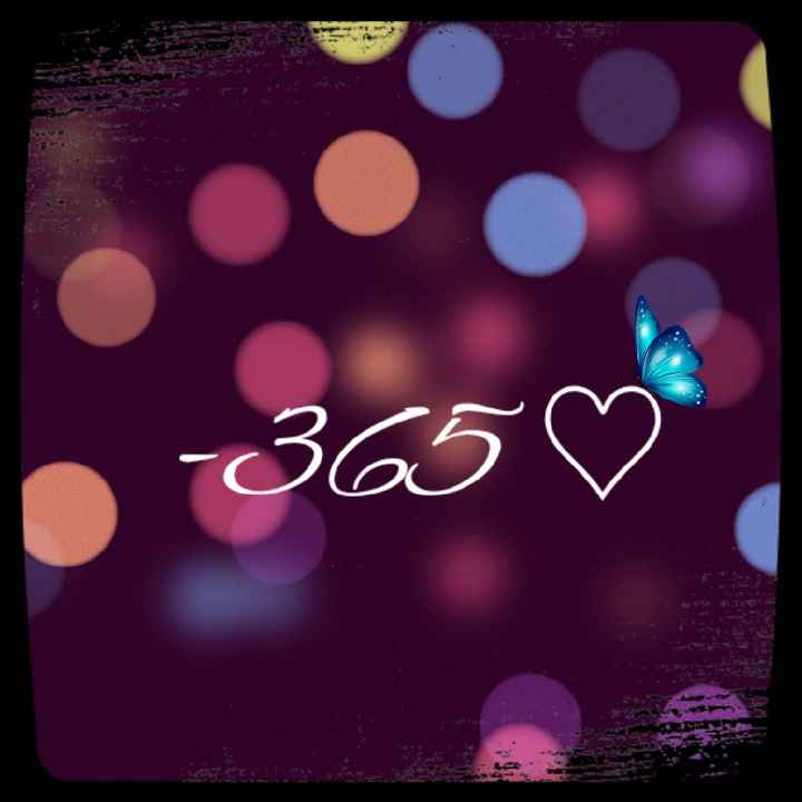-365 giorni al Si ❤ - 1