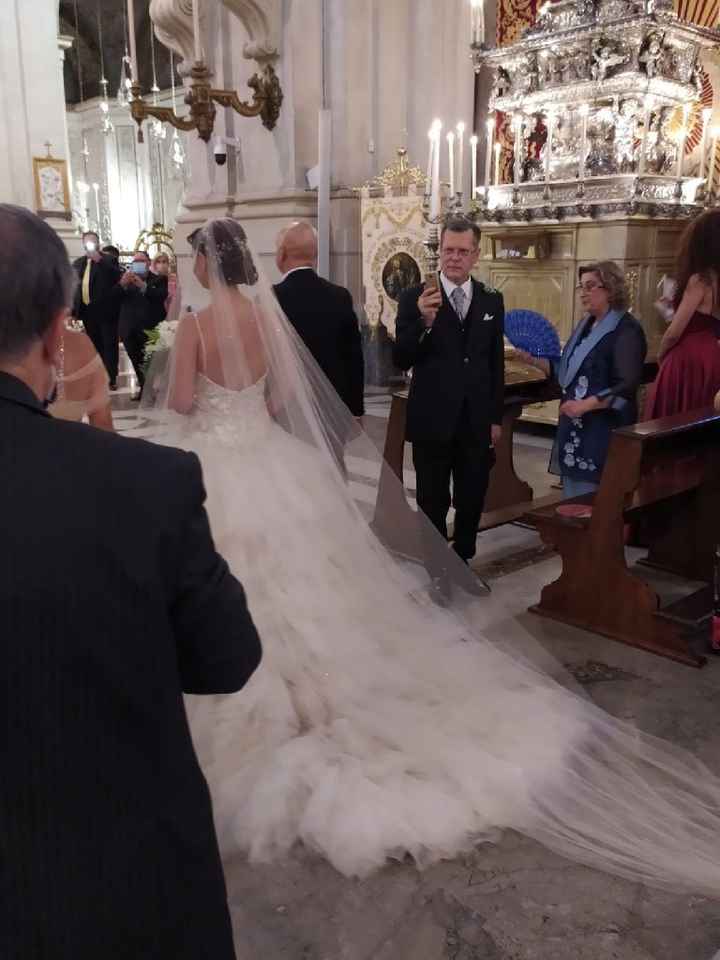 Ansia Coronavirus - 2