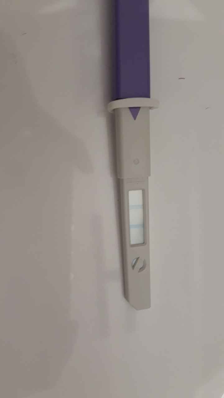 Chi non le aspetta per Giugno 2021 🌸🌸🌸 - 1