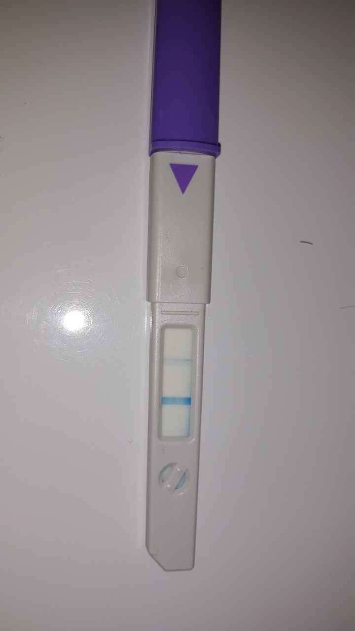 Chi non le aspetta per Giugno 2021 🌸🌸🌸 - 2