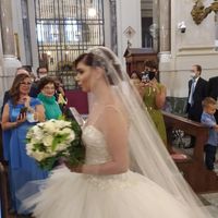 Ansia Coronavirus - 4