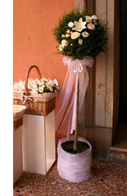 La mia idea di matrimonio - 1