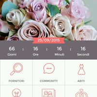 Quanti giorni mancano alle vostre nozze? :) - 1