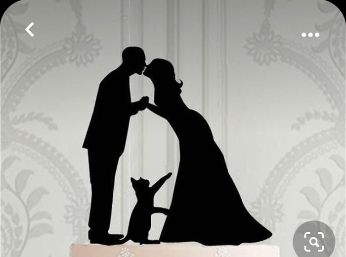 Matrimonio tema gatti - 2