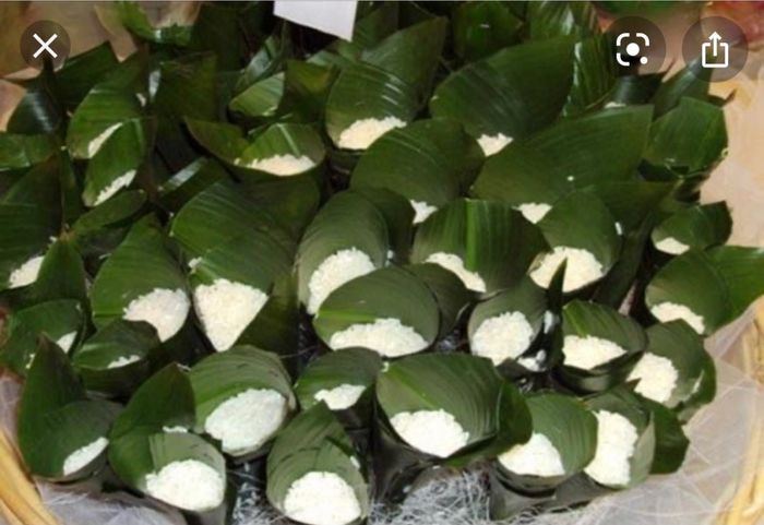 Alternativa coni portariso - 1