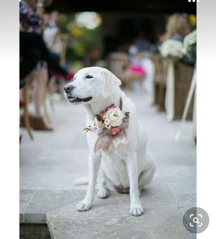 Collare di fiori per invitato a 4 zampe 🐾 🐾 - 7