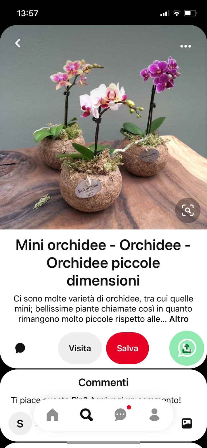 Crisi segnaposto - 2