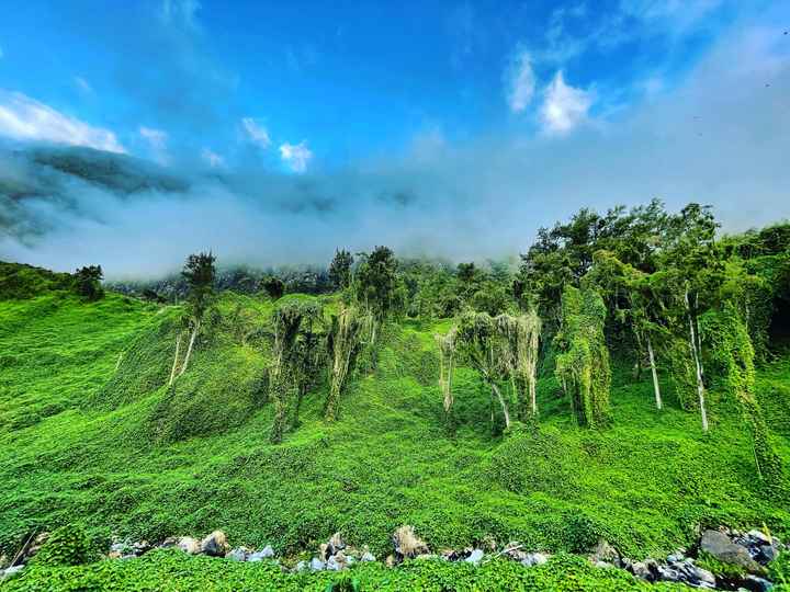 Buongiorno ragazze ☀️ - 2