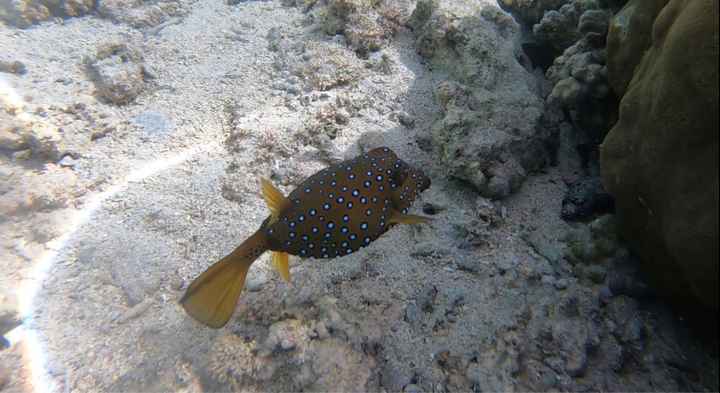 Buongiorno ragazze ☀️ - 5