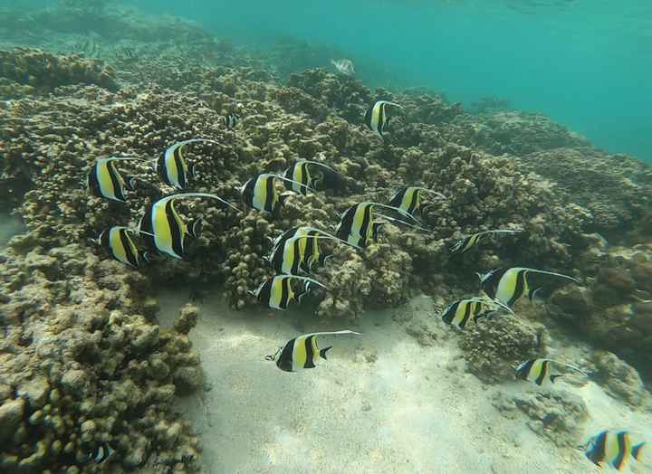 Buongiorno ragazze ☀️ - 7