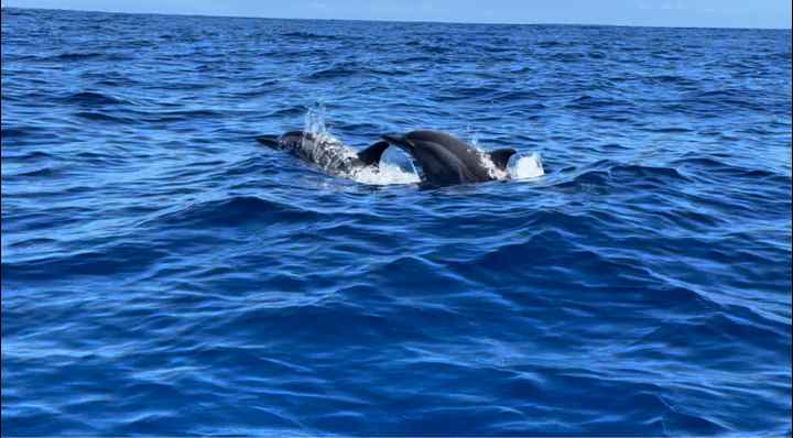 Buongiorno ragazze ☀️ - 10