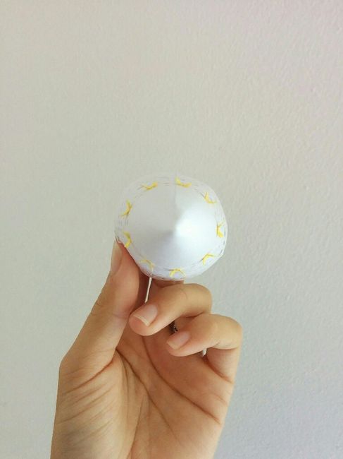 Prima prova dei coni riso! - 2