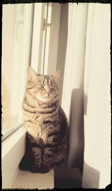 Vi presento nina! - 1