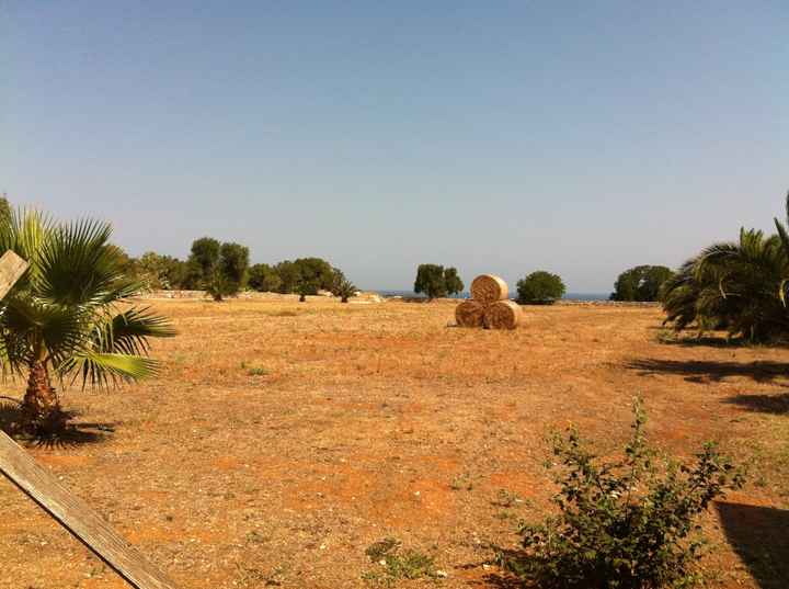 Masseria Montenapoleone