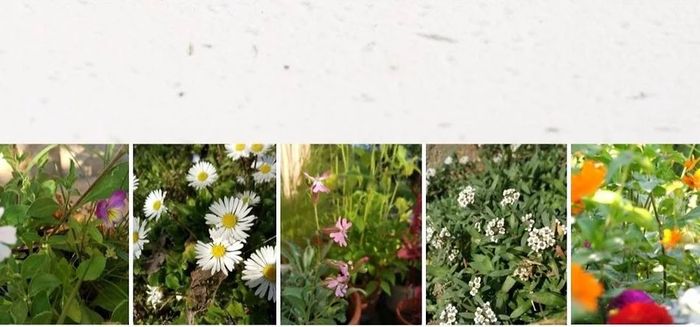 Matrimonio Eco Friendly - Le Partecipazioni 2