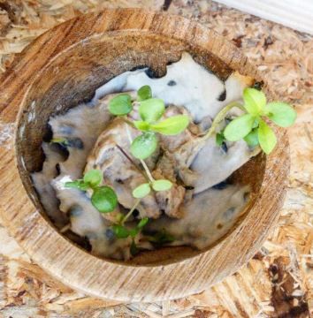 Matrimonio Eco Friendly - Le Partecipazioni 3