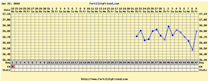 Grafico temperatura basale 4