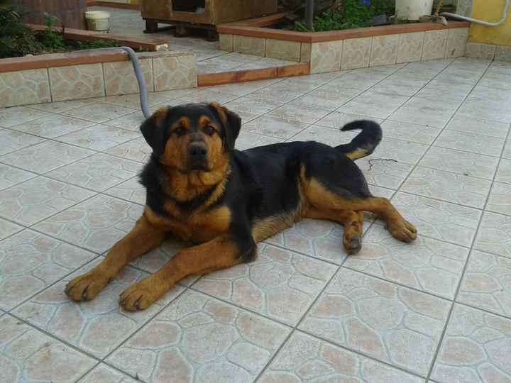 I nostri cuccioli!!! - 2