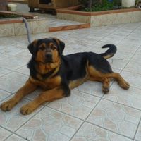 I nostri cuccioli!!! - 2