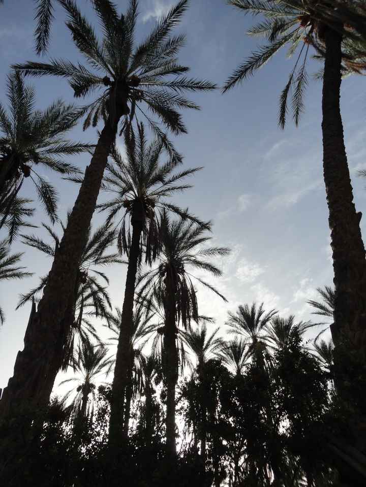 TUNISIA -24Sett-01Ott - Il Nostro Pimissimo Viaggio Oltre i confini Italici....