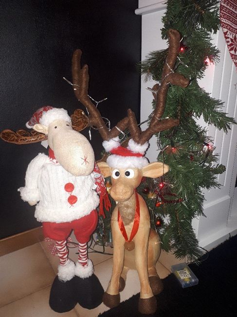 Addobbi di Natale - 5