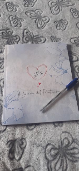Diario del matrimonio 2