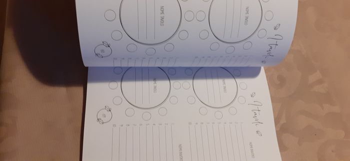 Diario del matrimonio 6