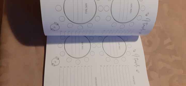 Diario del matrimonio - 7