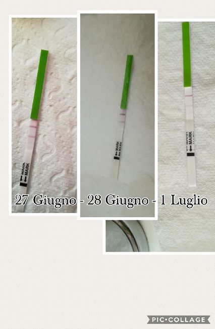 Stick ovulazione e ovulazione 1