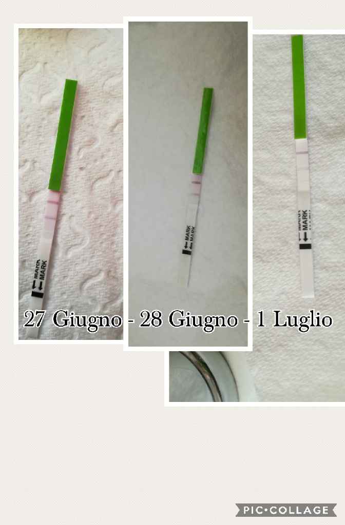 Stick ovulazione e ovulazione - 1