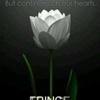 Quale telefilm appassiona te e fm? - 2