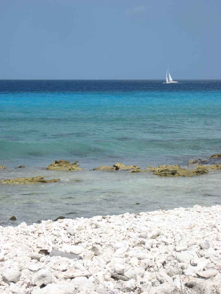 bonaire